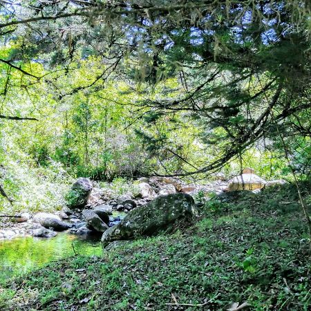 Cabana Mountain View 에레디아 외부 사진