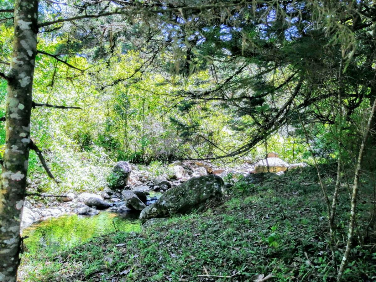 Cabana Mountain View 에레디아 외부 사진